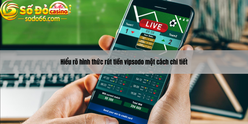 Hiểu rõ hình thức rút tiền vipsodo một cách chi tiết