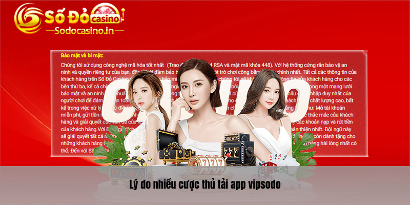 Lý do nhiều cược thủ tải app vipsodo