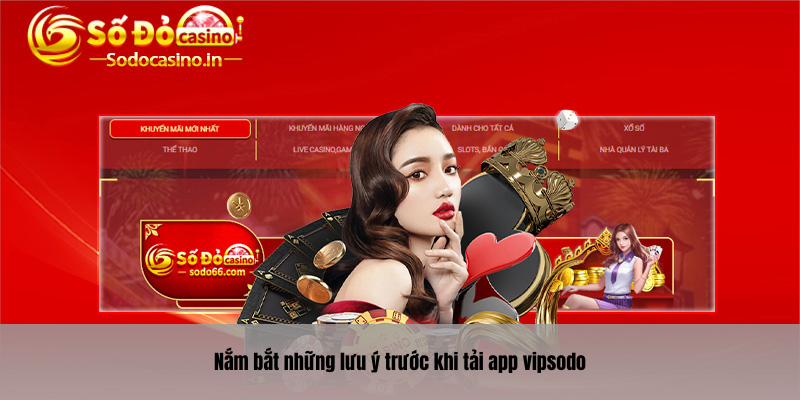 Nắm bắt những lưu ý trước khi tải app vipsodo