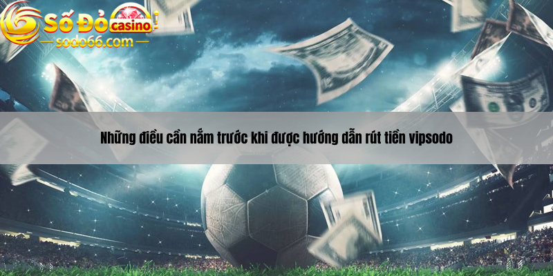 Những điều cần nắm trước khi được hướng dẫn rút tiền vipsodo